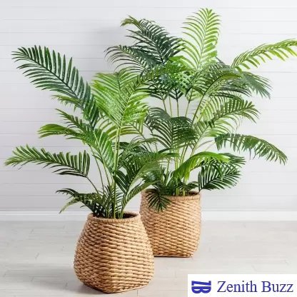 best indoor plant for living room